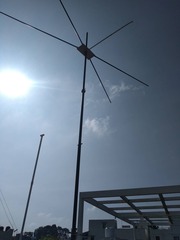 moxon with basic structure up, photo taken in the morning